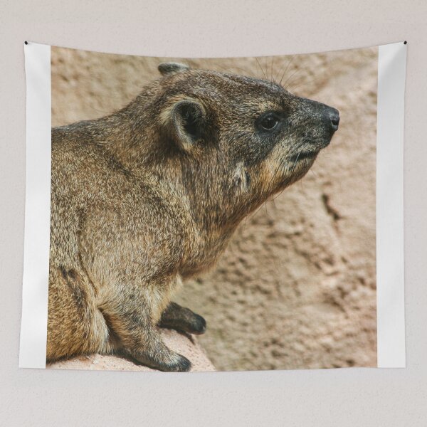 Item preview, Rock hyrax designed and sold by KcsArt87.