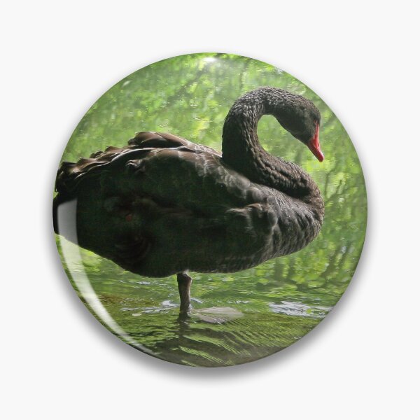 Artikelvorschau, Black Swan entworfen und verkauft von Danny5.