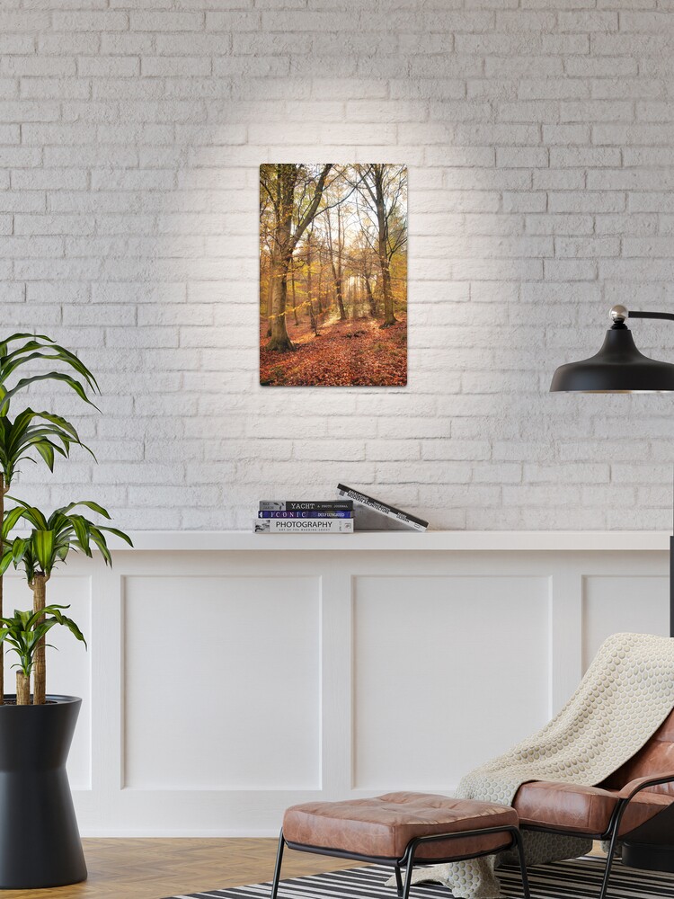 Thumbnail 1 of 4, Metal Print, Trees designed and sold by james  thow.