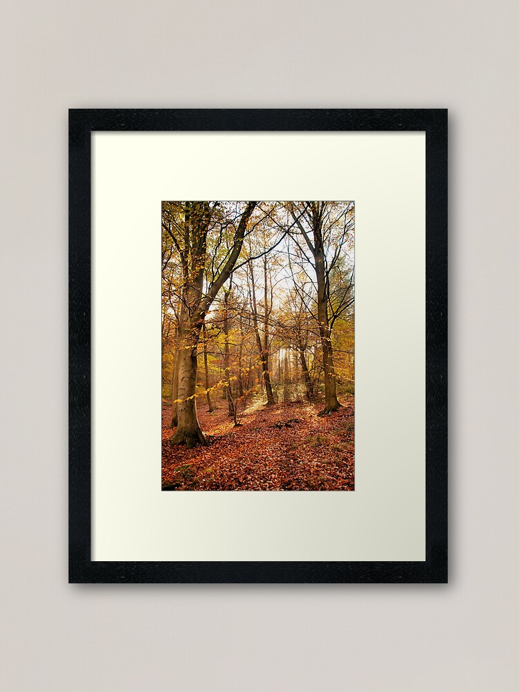 Alternate view of Trees Framed Art Print
