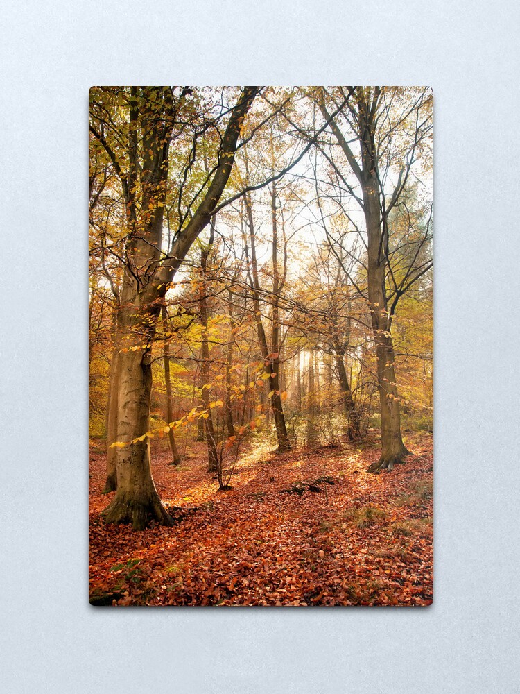 Alternate view of Trees Metal Print