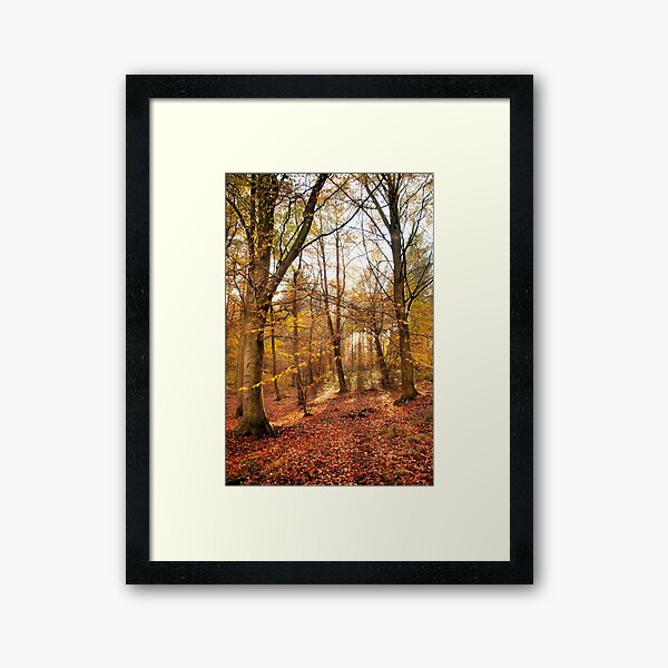 Trees Framed Art Print