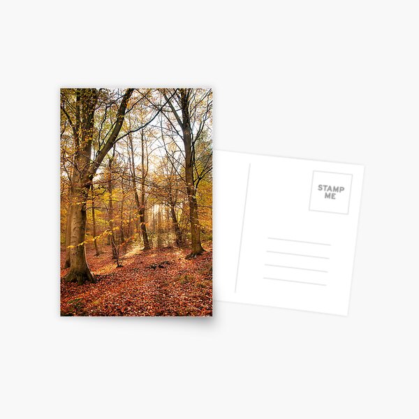 Trees Postcard