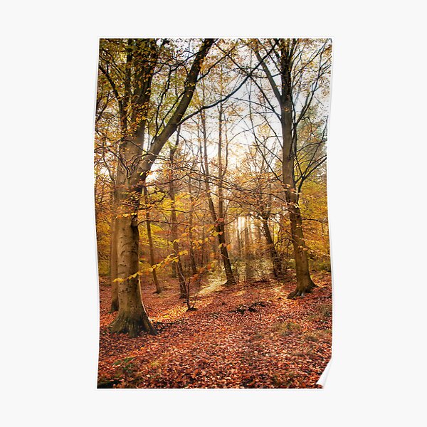 Trees Poster
