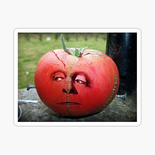 MY EROTIC TOMATO PICTURES WENT VIRAL