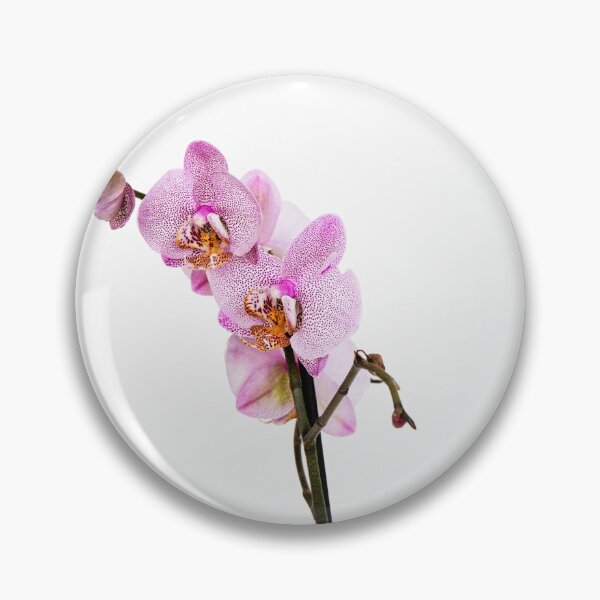 Item preview, Orchid flower on white background  designed and sold by HTPOP.