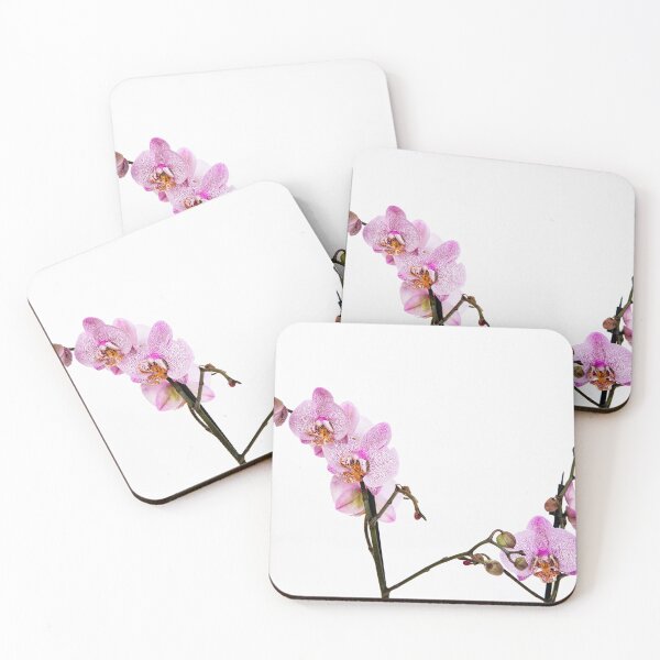 Item preview, Orchid flower on white background  designed and sold by HTPOP.