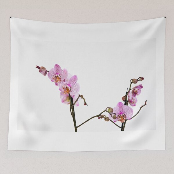 Item preview, Orchid flower on white background  designed and sold by HTPOP.
