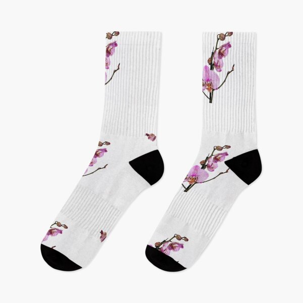 Item preview, Orchid flower on white background  designed and sold by HTPOP.