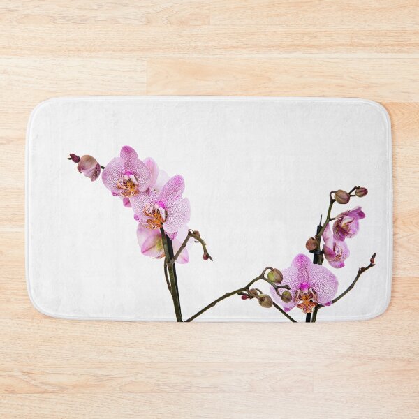 Item preview, Orchid flower on white background  designed and sold by HTPOP.