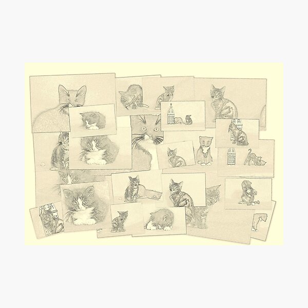 Kitten sketch collage Photographic Print