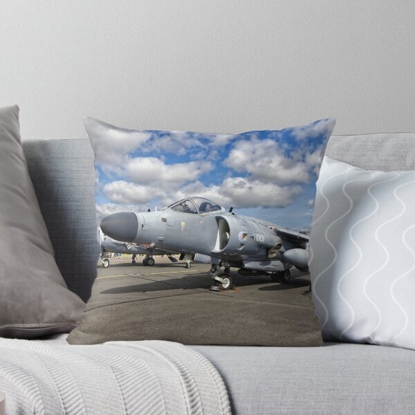Artikelvorschau, BAe Sea Harrier FA.2 entworfen und verkauft von Andy Harker.