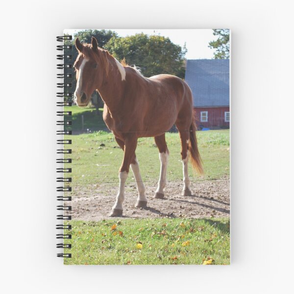 Item preview,  WISCONSIN. designed and sold by RedGrace7.