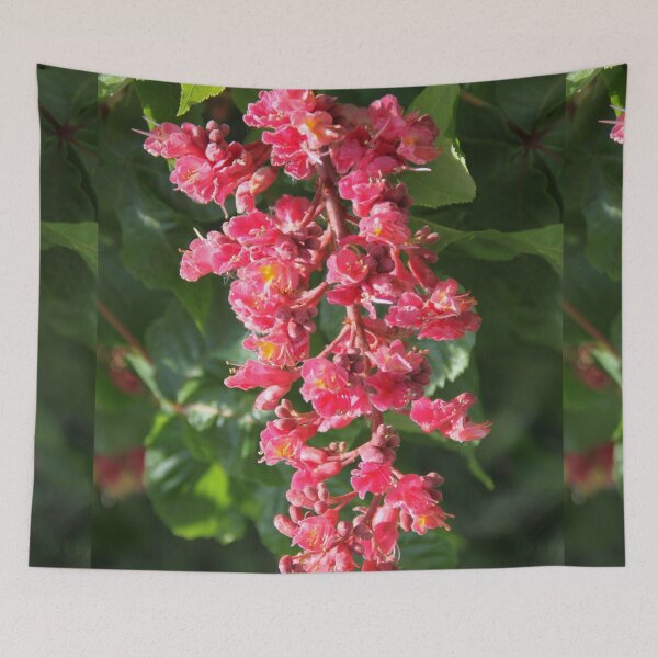 Item preview, Horse chestnut spring leaves pink flower bud blooming	 designed and sold by EstelleRossetti.