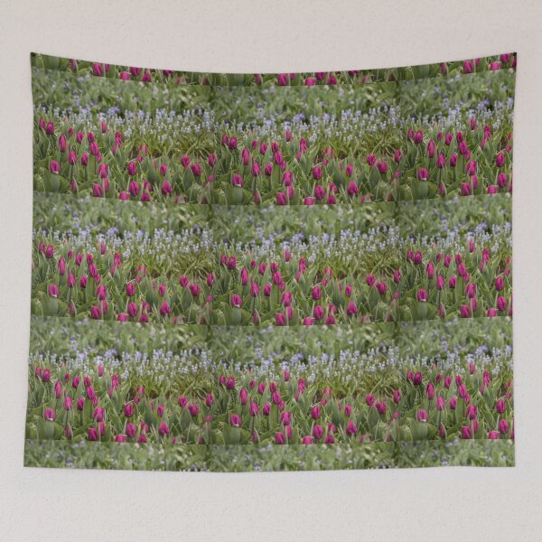 Item preview, Blue and red Tulip flower field designed and sold by Cvail73.