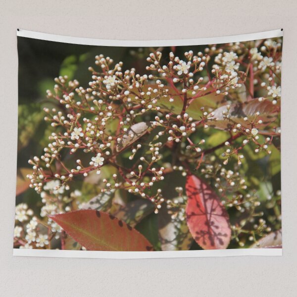 Item preview, Horse chestnut spring leaves pink flower bud blooming	 designed and sold by EstelleRossetti.