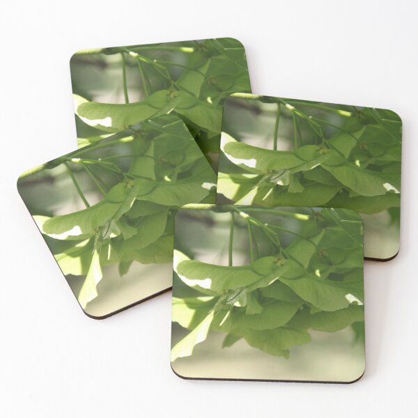 Item preview, Acer tree spring leaves and flower blossom bud	 designed and sold by EstelleRossetti.