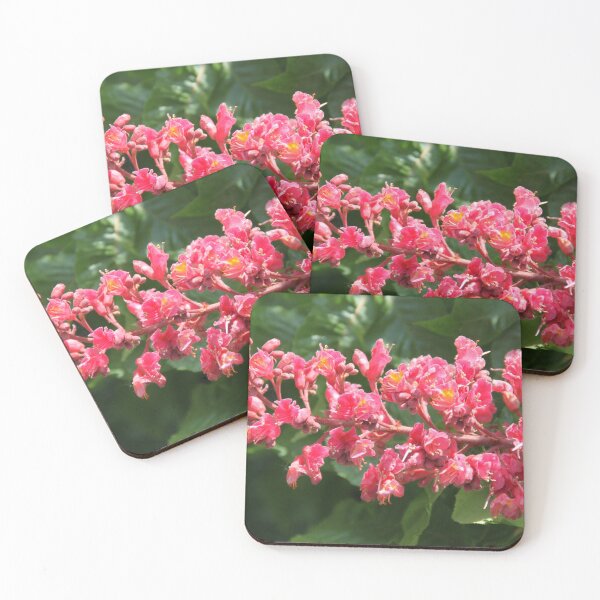 Item preview, Horse chestnut spring leaves pink flower bud blooming	 designed and sold by EstelleRossetti.