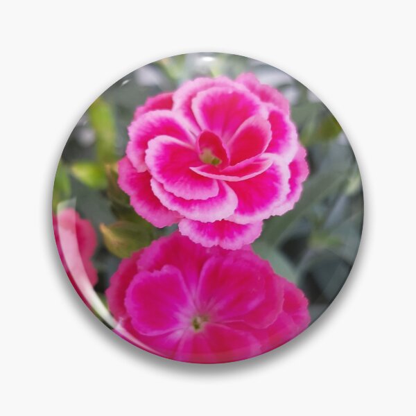Item preview, Pink and white carnations in blue vase designed and sold by MargheritaLidia.