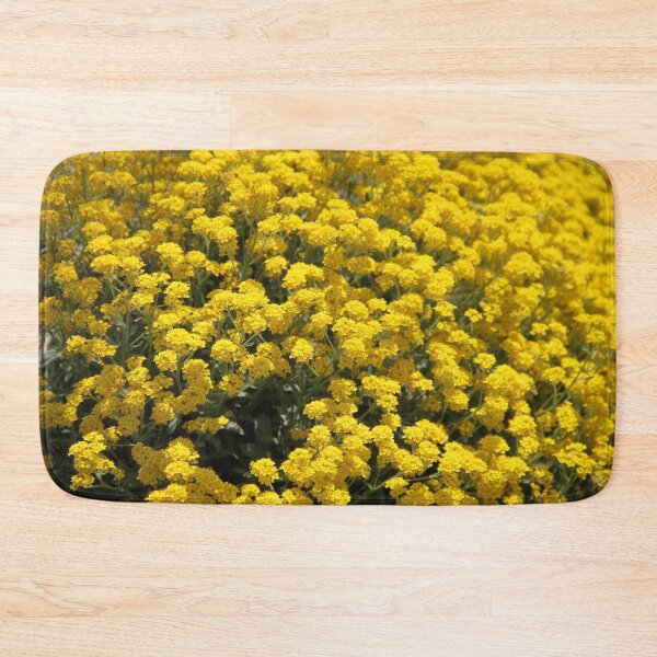 Item preview, Golden tuft alyssum dust yellow spring flowers	 designed and sold by EstelleRossetti.