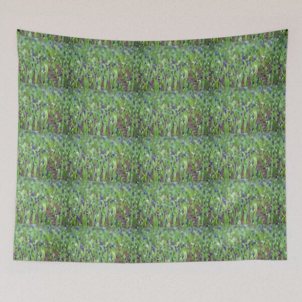 Item preview, Dainty blue flowers a field designed and sold by Cvail73.