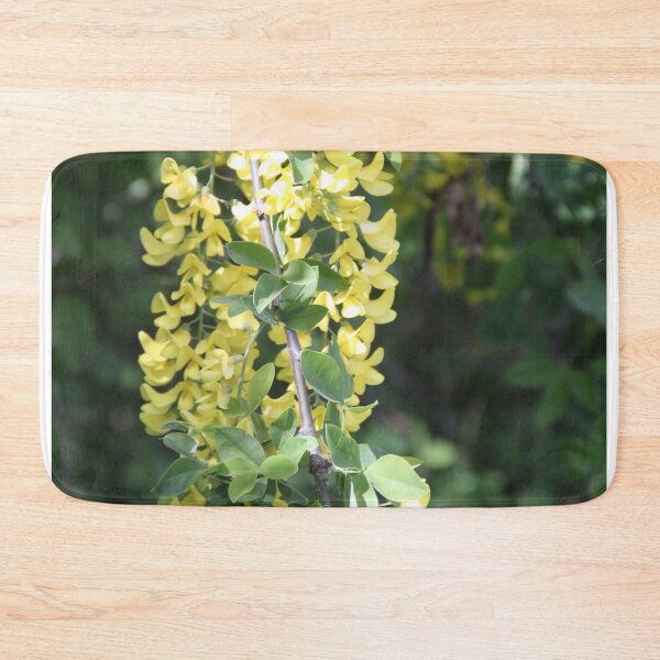 Item preview, Yellow golden inflorescence spring time common laburnum golden chain	 designed and sold by EstelleRossetti.