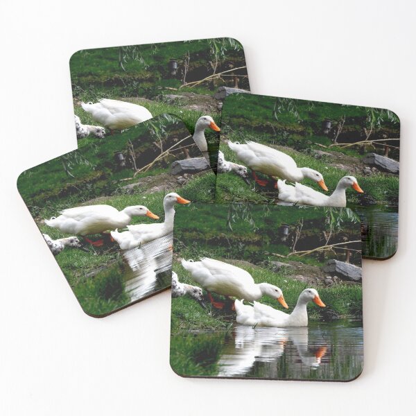 Item preview, white ducks swimming in a pond  designed and sold by Stephanie  Skeem.