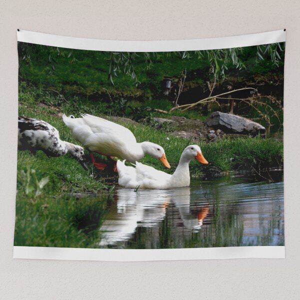 Item preview, white ducks swimming in a pond  designed and sold by Stephanie  Skeem.