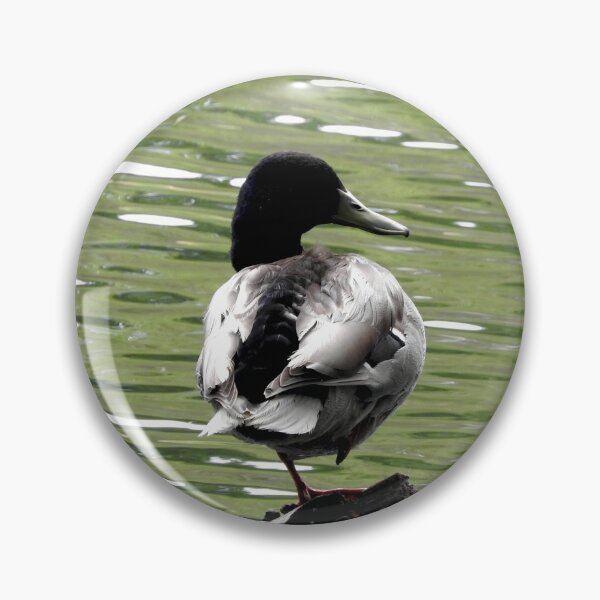 Item preview, sleeping ducks on a pond designed and sold by Stephanie  Skeem.