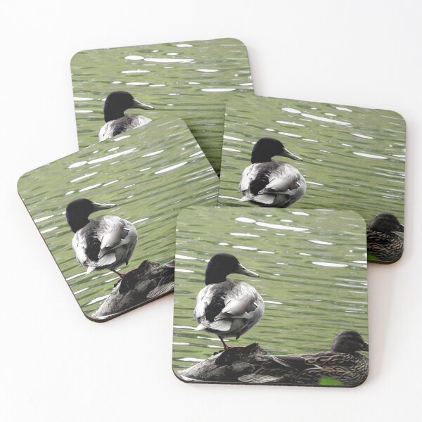 Item preview, sleeping ducks on a pond designed and sold by Stephanie  Skeem.