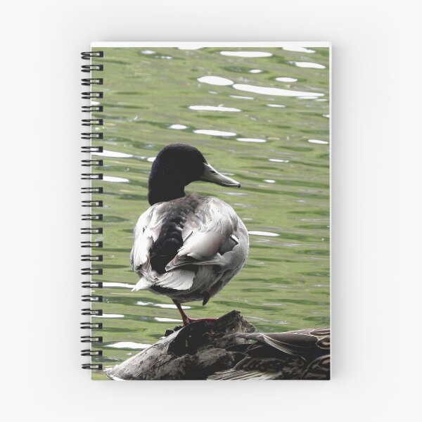 Item preview, sleeping ducks on a pond designed and sold by Stephanie  Skeem.