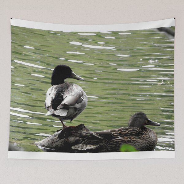 Item preview, sleeping ducks on a pond designed and sold by Stephanie  Skeem.