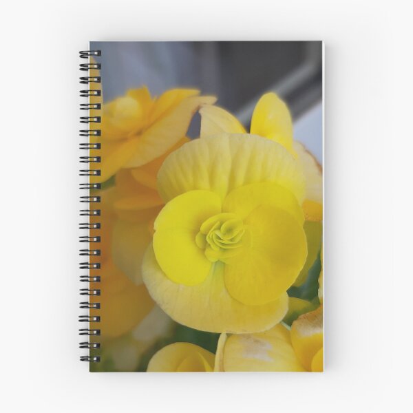 Item preview, Yellow begonia designed and sold by MargheritaLidia.