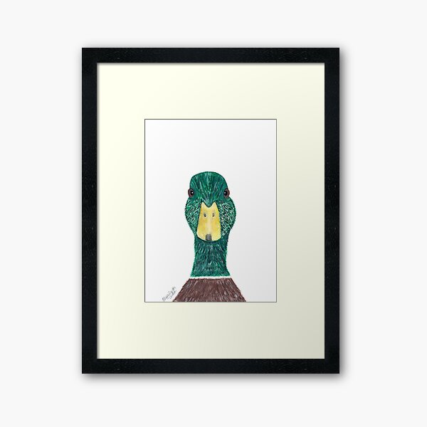 Wild Green and Brown Male Mallard Duck with Yellow Beak Print...Quack! Framed Art Print