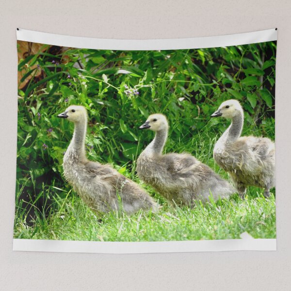 Item preview, baby geese, goslings, designed and sold by Stephanie  Skeem.