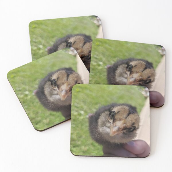 Item preview, Who You Lookin' At? designed and sold by Emily Noyes.