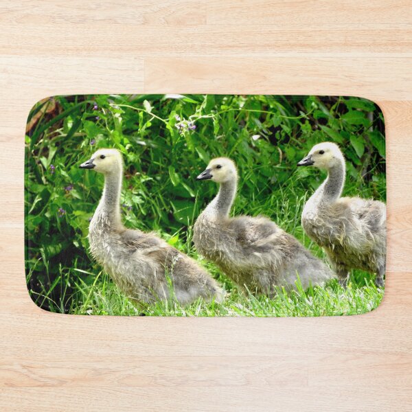 Item preview, baby geese, goslings, designed and sold by Stephanie  Skeem.