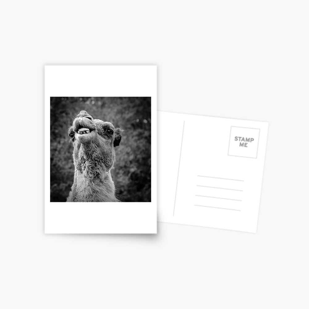 Item preview, Postcard designed and sold by littleoldhag.