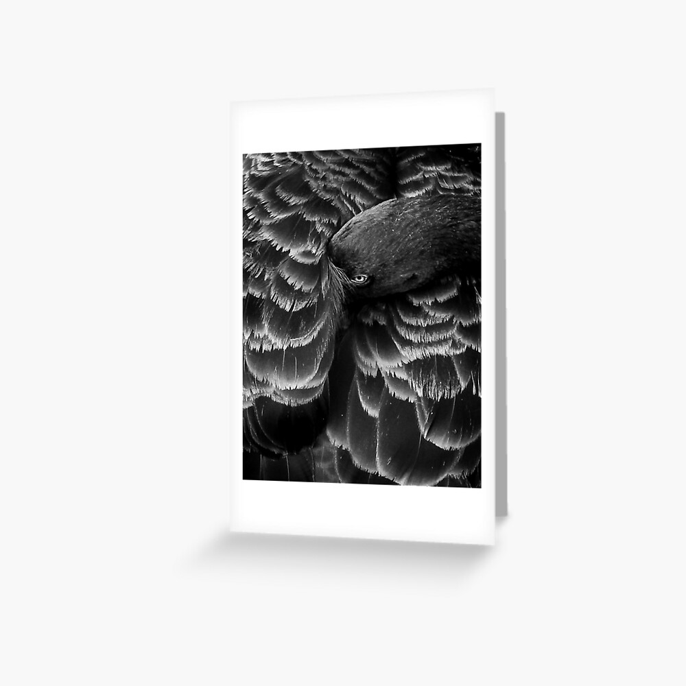 Item preview, Greeting Card designed and sold by littleoldhag.