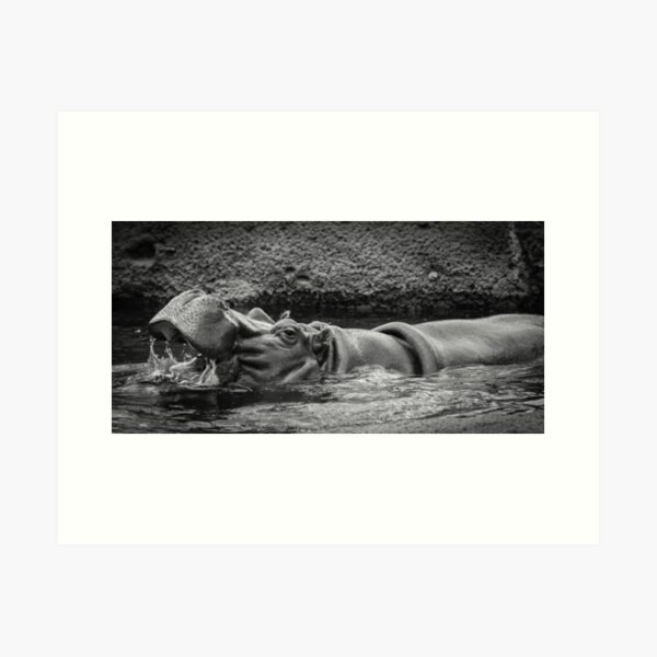 Hippo Art Print
