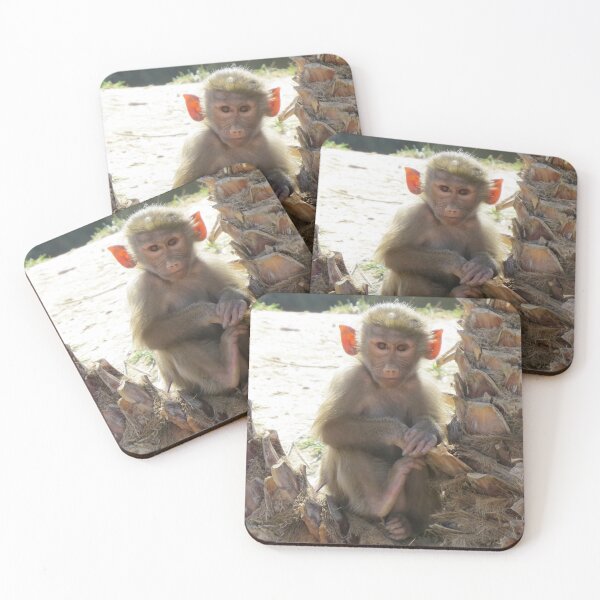 Item preview, Young Baboon at the San Diego Zoo designed and sold by Zoo and Nature Photography by Karie.