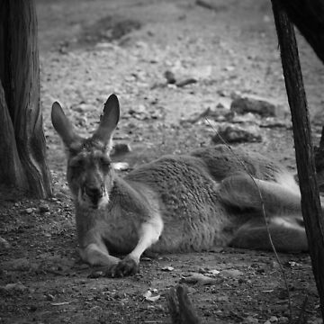 Artwork thumbnail, Roo in the shade 2 by littleoldhag