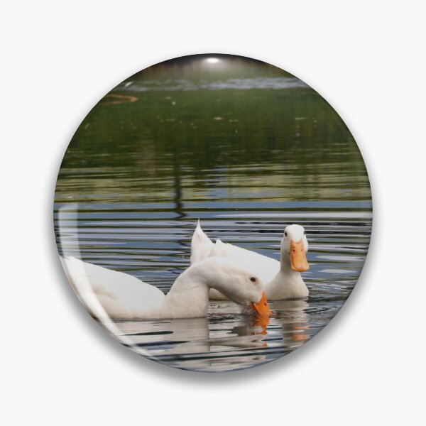 Item preview, white ducks in a duck pond designed and sold by Stephanie  Skeem.