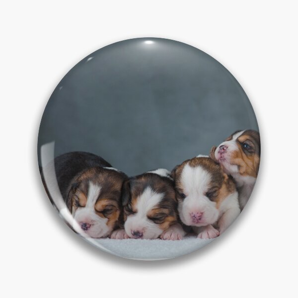 Item preview, Cute newborn beagle puppies designed and sold by marusya1.