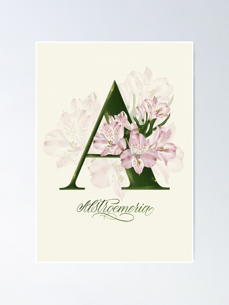 Download A Letter Botanical Monogram Alstroemeria Flower Alphabet Poster By Bananilettering Redbubble