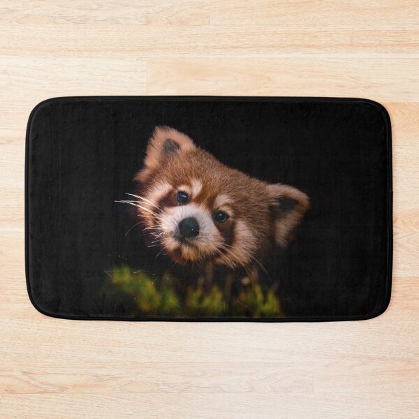 Item preview, Red Panda at the glass  designed and sold by chloerhianphoto.