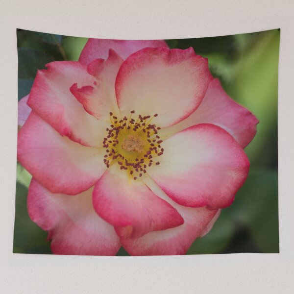 Item preview, Wild Rose designed and sold by Jacquelie.