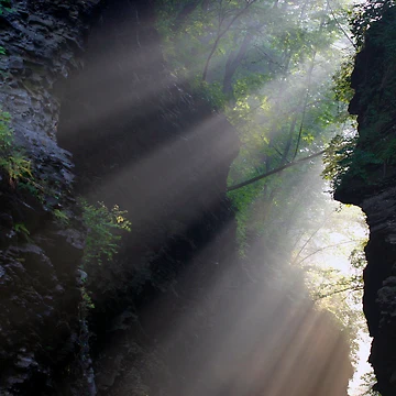Artwork thumbnail, Life-Giving Rays! by Gene Walls