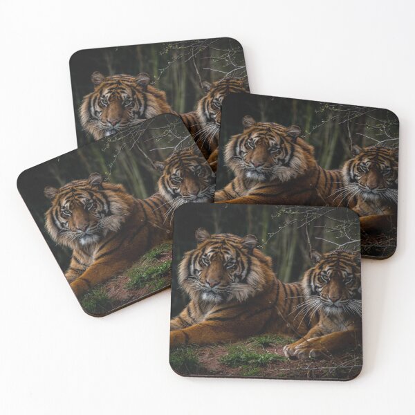 Item preview, Sumatran Tiger Twins  designed and sold by chloerhianphoto.