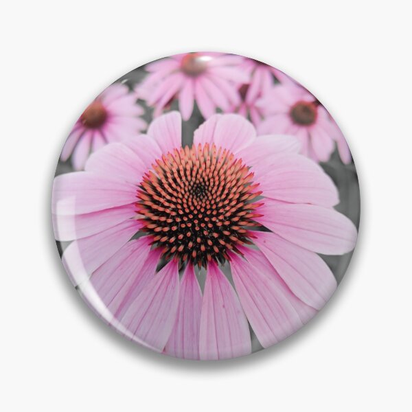 Item preview, coneflower designed and sold by Natalie Stark.